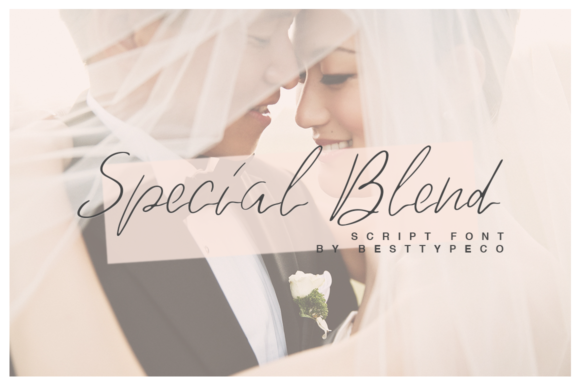 Special Blend: Elevate Your Design with Delicate Typography